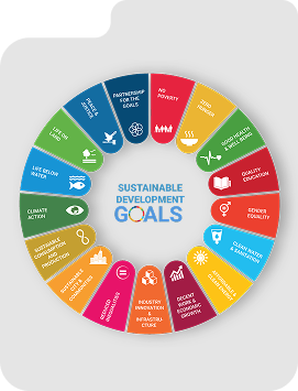 sdgs goals
